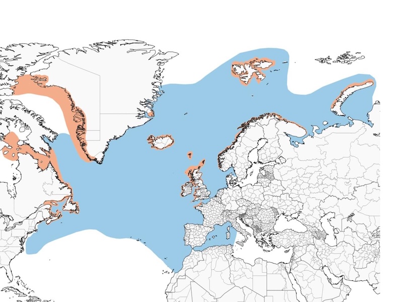 Atlantic Puffin range map
