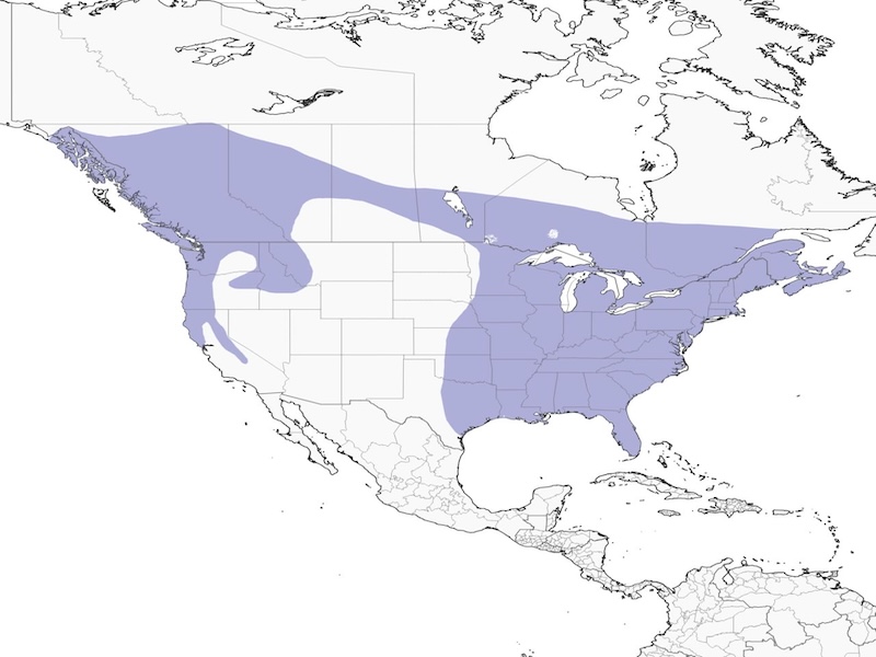 Barred Owl range map