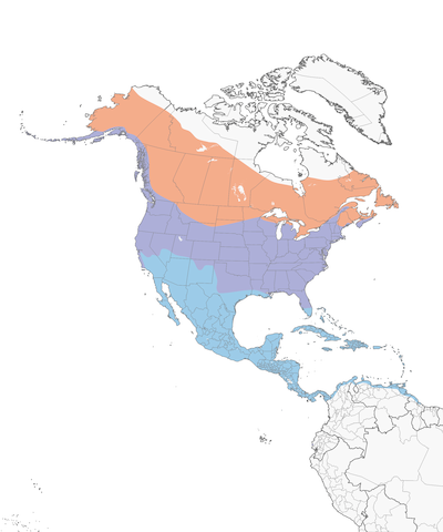 Belted Kingfisher range map