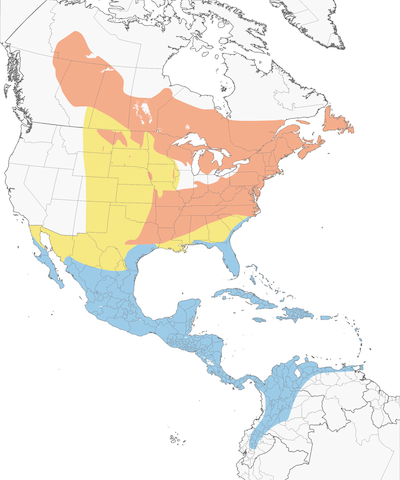 Black-and-white Warbler range map