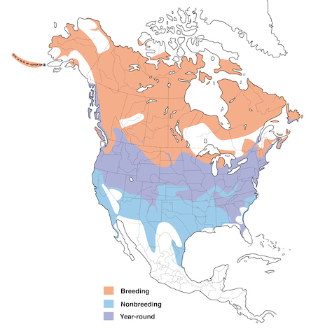 Canada Goose range map