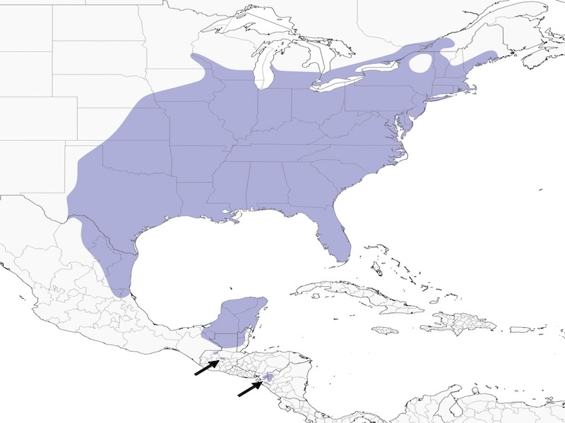 Carolina Wren range map
