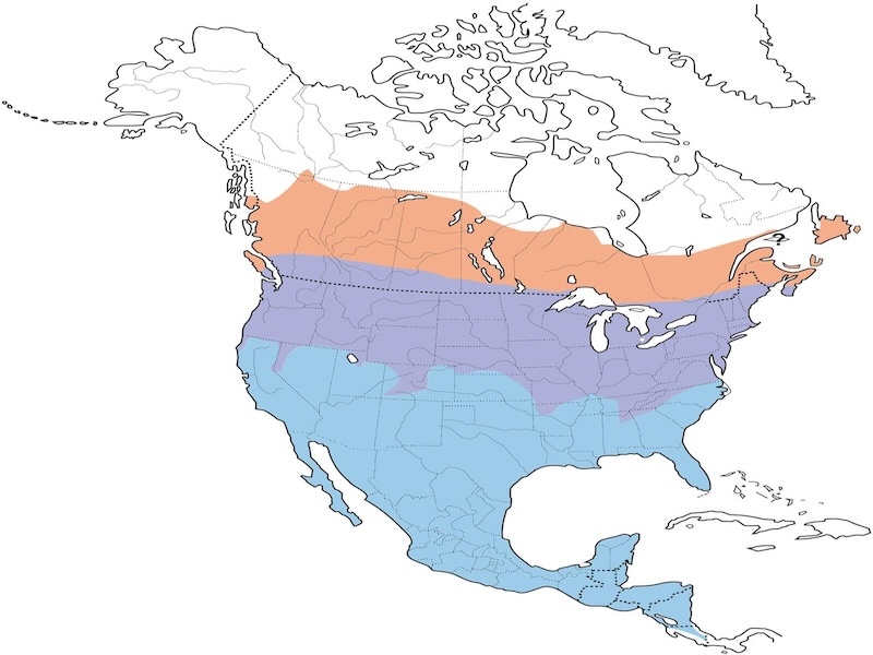 Cedar Waxwing range map