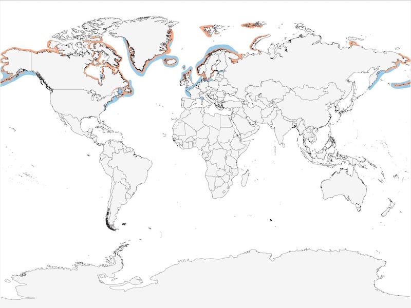 Common Eider range map