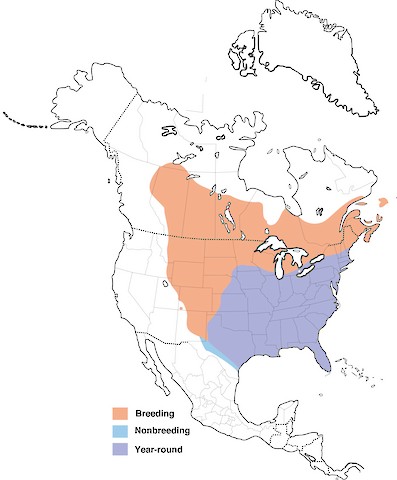 Common Grackle range map