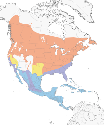 Common Yellowthroat range map