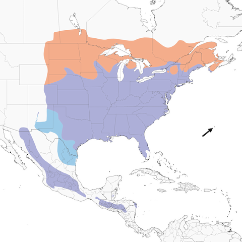 Eastern Bluebird range map