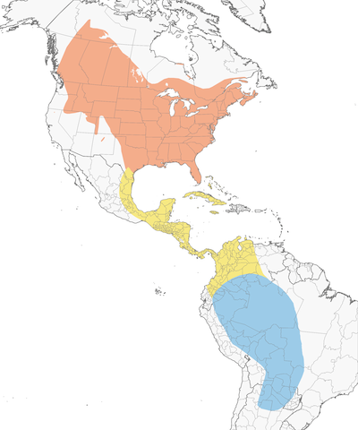 Eastern Kingbird range map