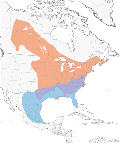Eastern Phoebe range map