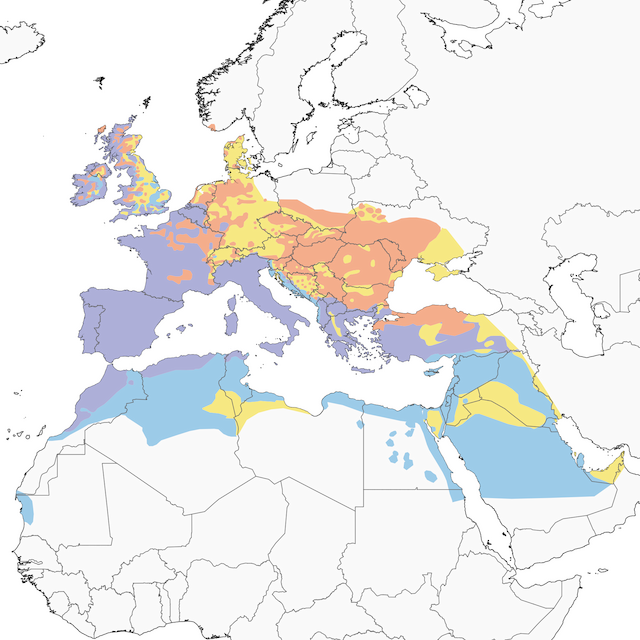 European Stonechat range map