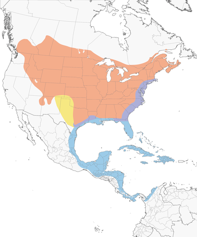 Gray Catbird range map