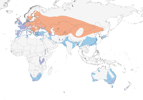 Great Crested Grebe range map