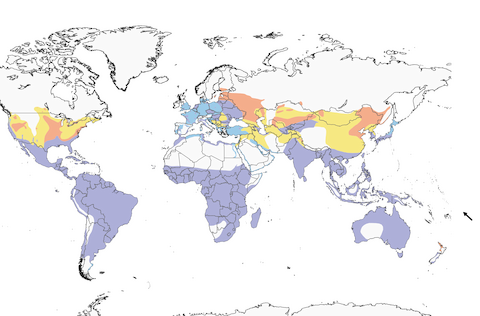Great Egret range map