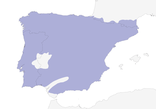 Iberian Woodpecker range map