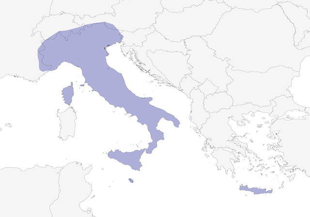 Italian Sparrow range map