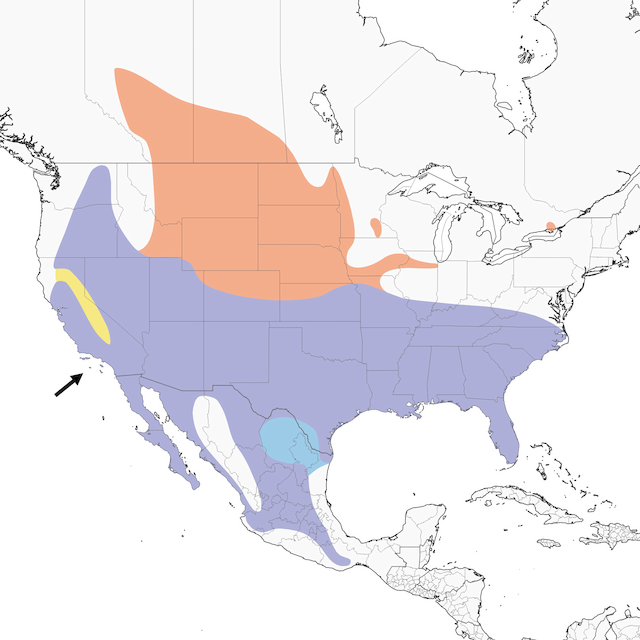 Loggerhead Shrike range map