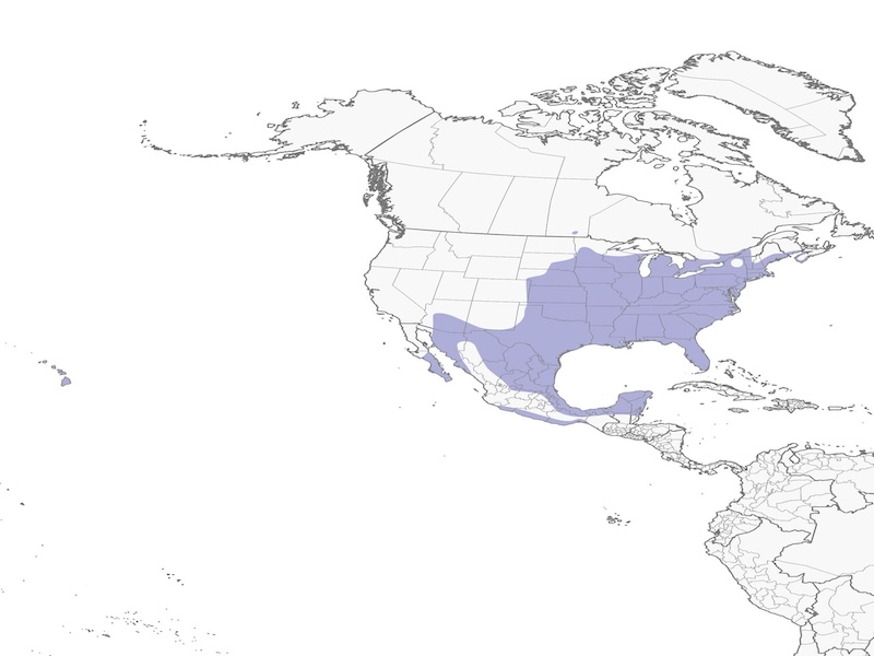 Northern Cardinal range map