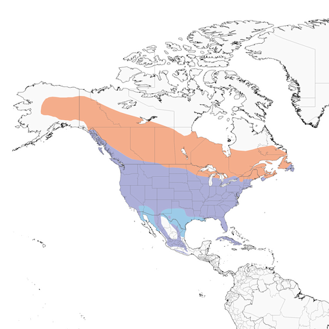 Northern Flicker range map