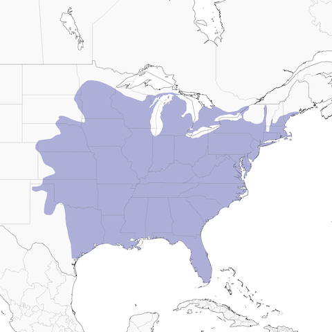 Red-bellied Woodpecker range map