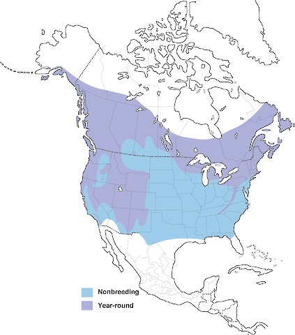 Red-breasted Nuthatch range map