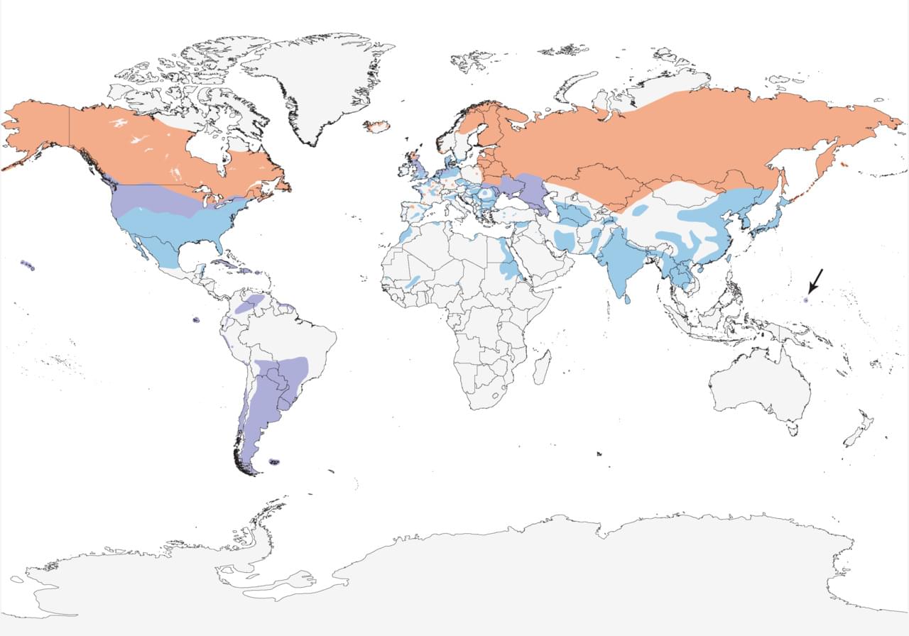 Short Eared Owl range map