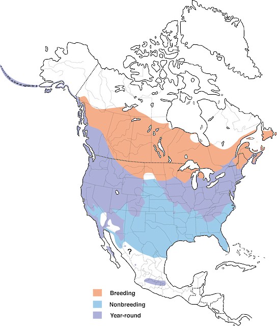 Song Sparrow range map