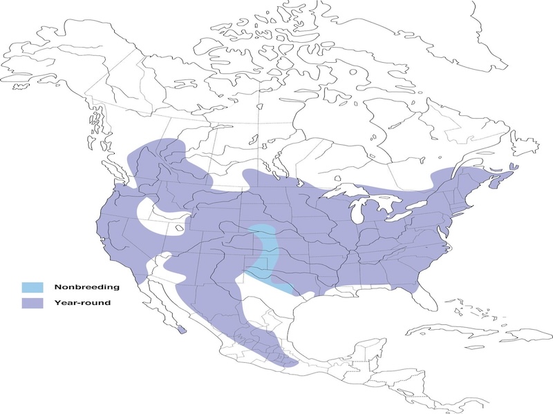 White-breasted Nuthatch range map