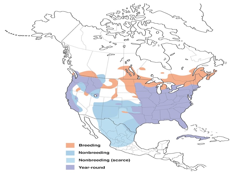 Wood Duck range map